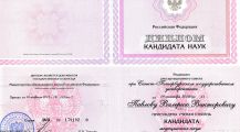 Диплом кандидата медицинских наук, 2013 г. | Пластический хирург Павлов В.В.