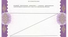 Лицензия ООО